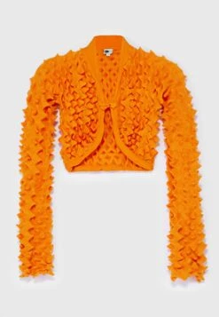 Spiky Cardigan - Vest - Orange -Fashionista Verkoop 221155d3f7de4ba5a317831ed9235ed4 scaled